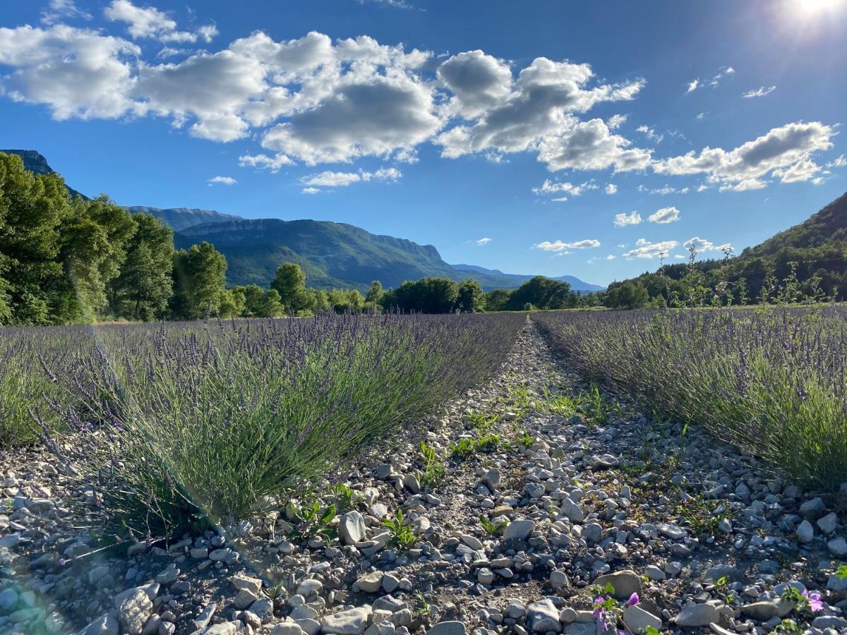 Gite En Haute Provence Montfroc Exterior photo